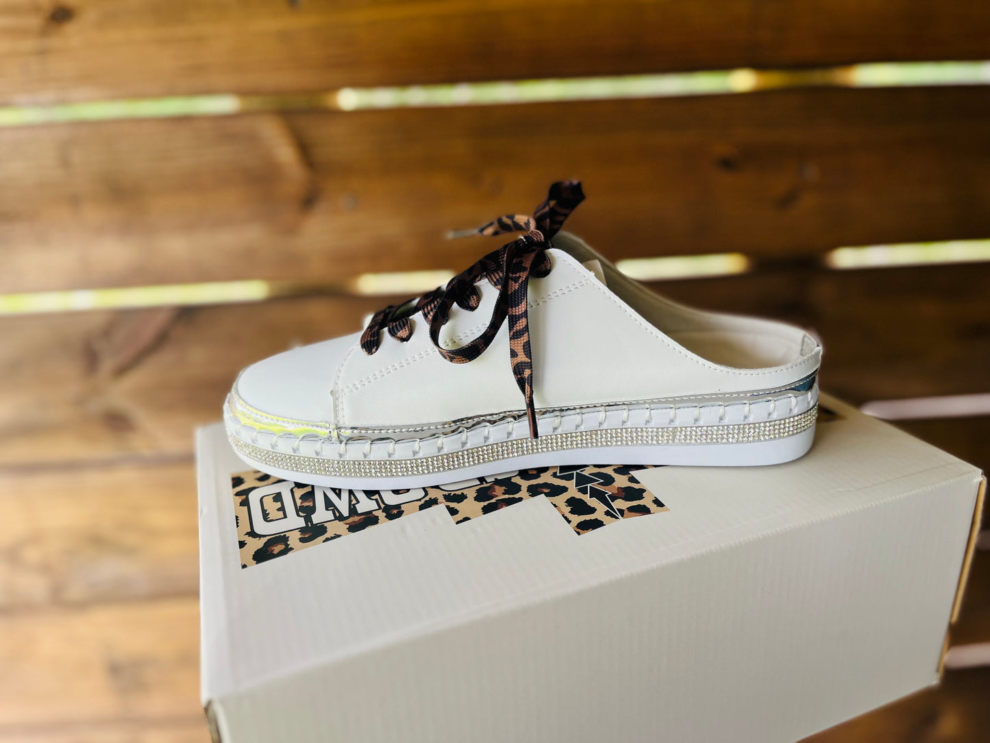 Silver Springs Slides