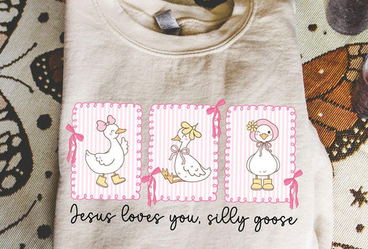 Jesus loves you silly goose